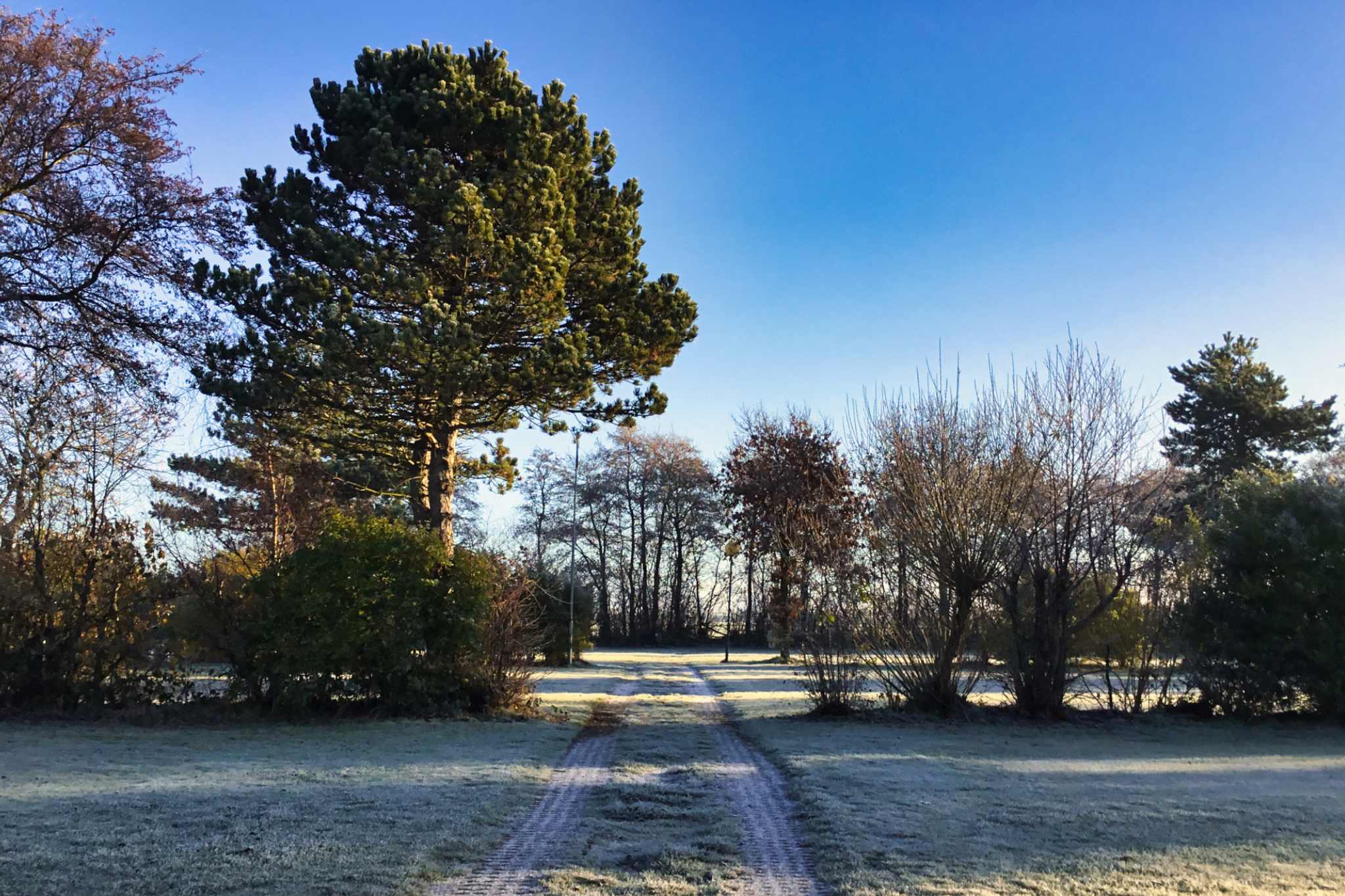Capodanno senza petardi Campeggio invernale De Nollen
