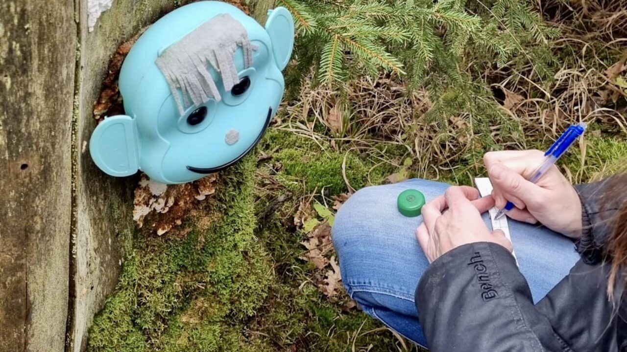 Consigli per l'intrattenimento e le attività in campeggio con i bambini 16 Il geocaching come gioco all'aperto con i bambini in campeggio