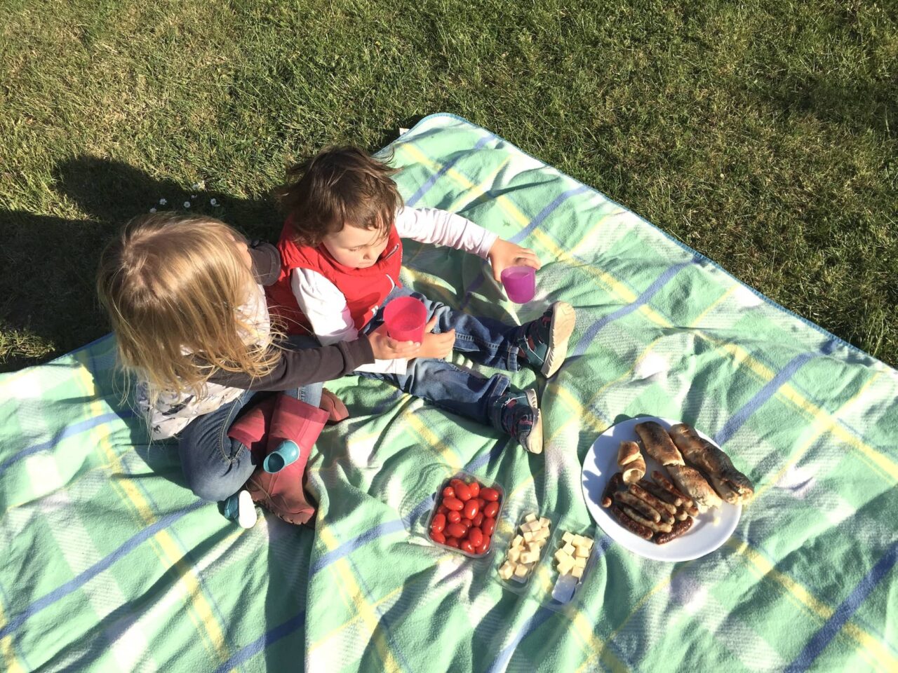 Consigli per l'intrattenimento e le attività in campeggio con i bambini 9 Il picnic come attività all'aperto quando si va in campeggio con i bambini