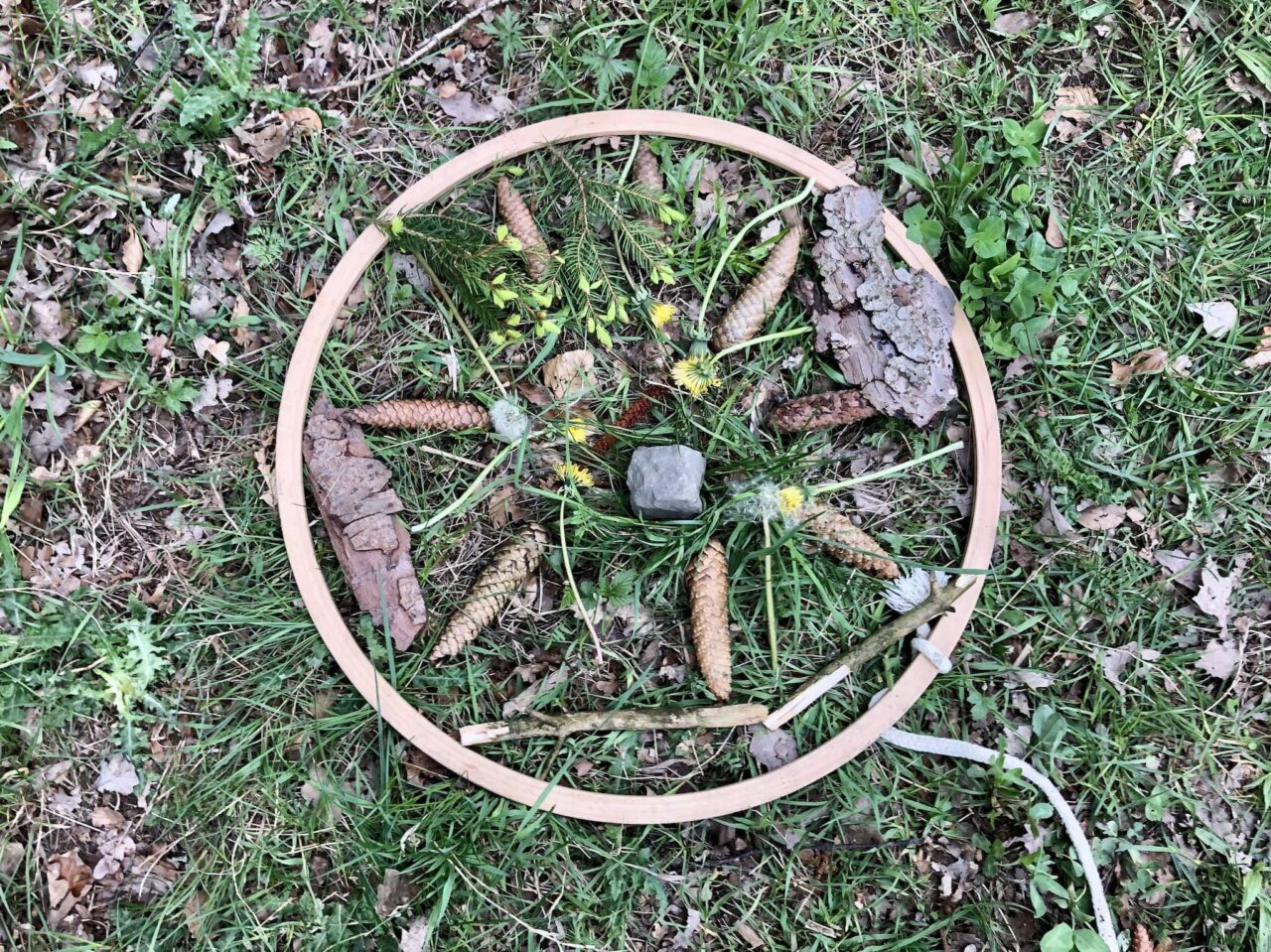Consigli per l'intrattenimento e le attività in campeggio con i bambini 24 Mandala della foresta alle Olimpiadi della foresta come gioco per bambini