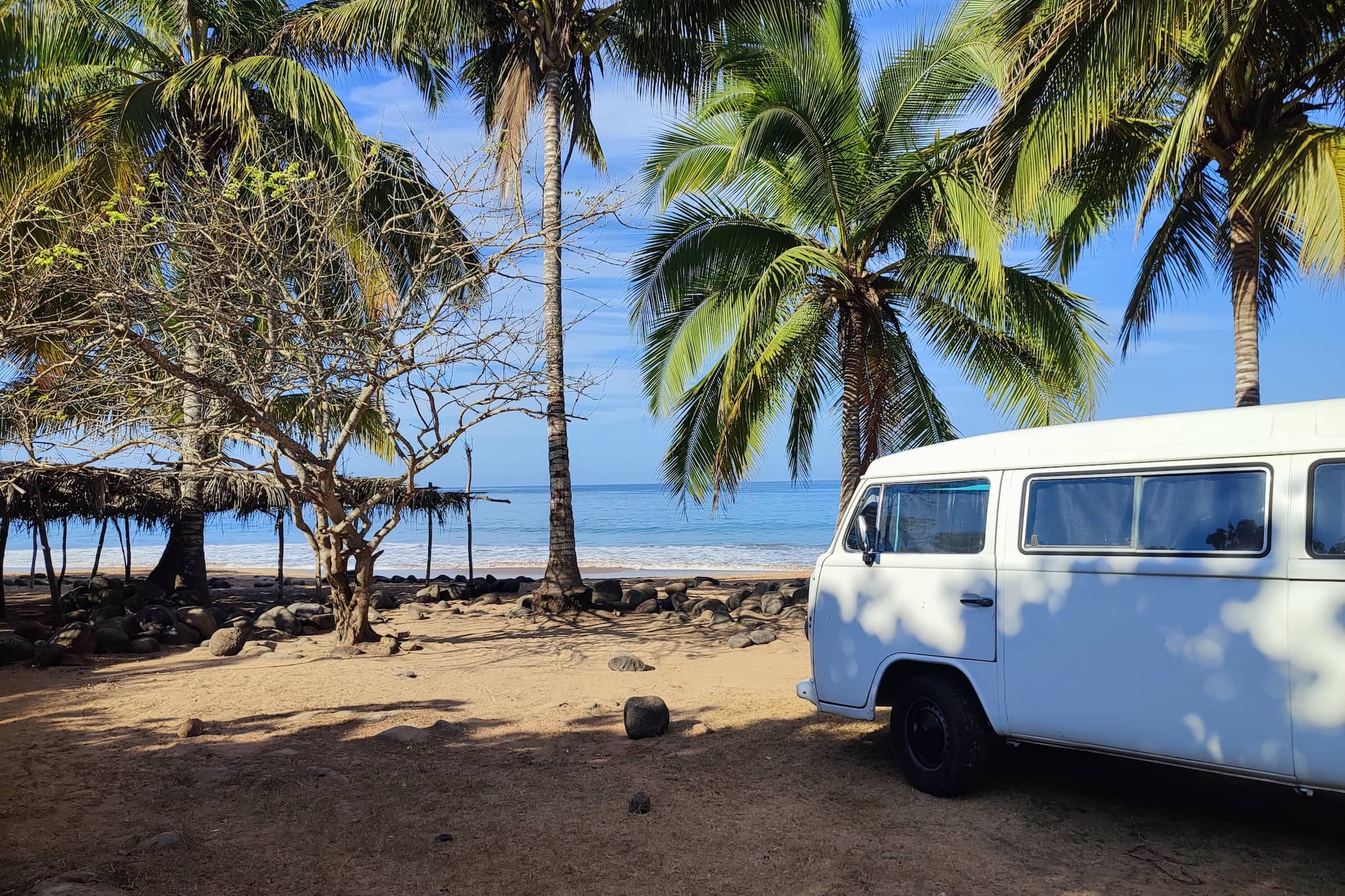75 anni del VW Bulli: una leggenda festeggia il suo compleanno